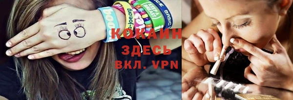 индика Алексин