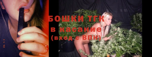 индика Алексин