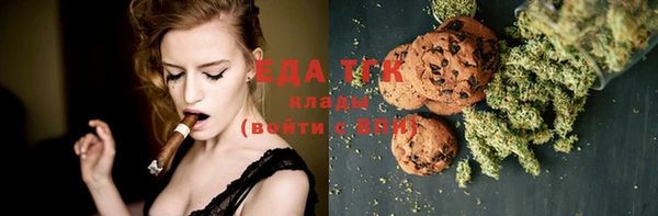 индика Алексин