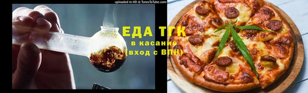 индика Алексин