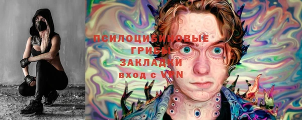 индика Алексин