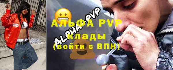 индика Алексин