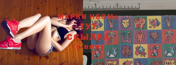 индика Алексин