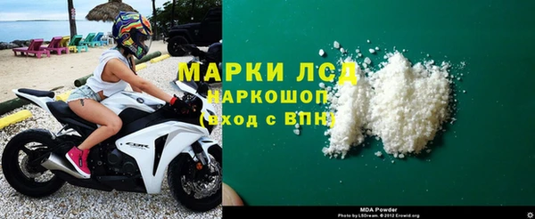 индика Алексин